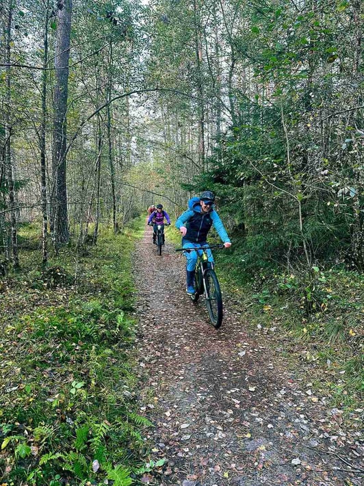 Forest trail biking