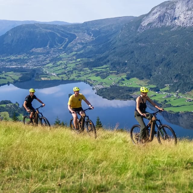 Bicycle Mountain Biking Tourism Blue Mountain Bicycle Tour In