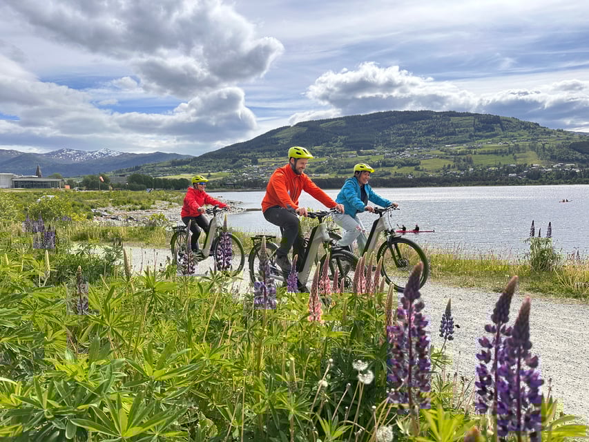 Electric Bike Tours in Voss, Norway Scenic Easy E-Bike Adventures