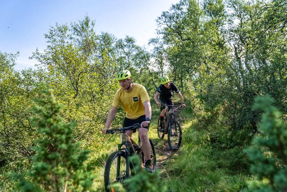 Electric Bike Tours in Voss, Norway Scenic Easy E-Bike Adventures