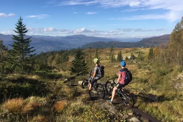 Friends enjoying scenic view in voss while mountain biking