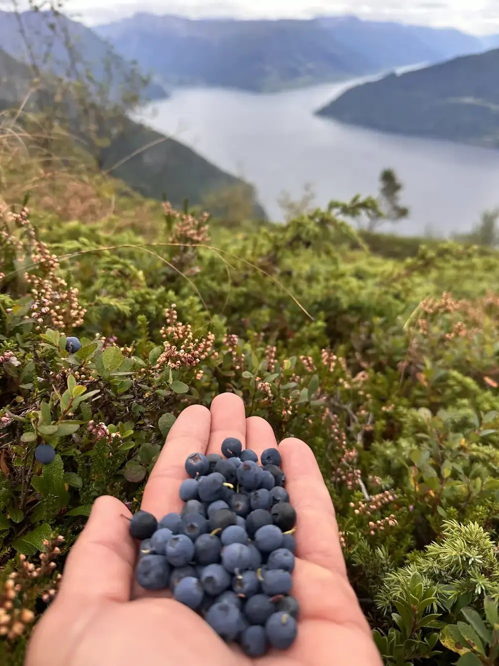 Mount oksen trail in norway