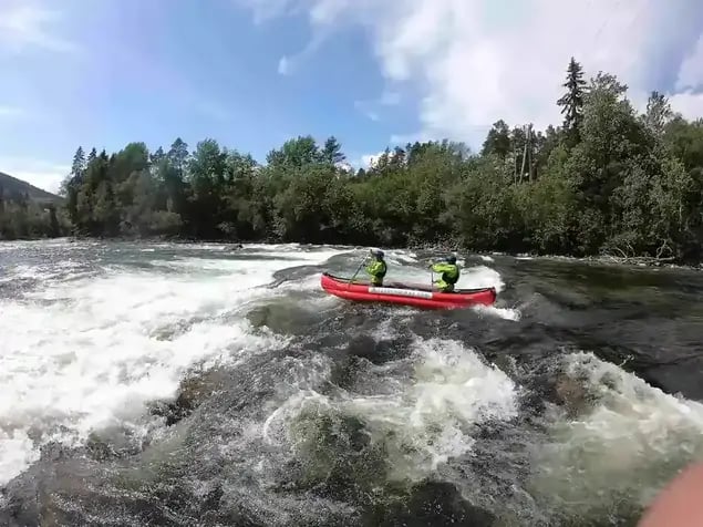 River canoe – guided tour - 3