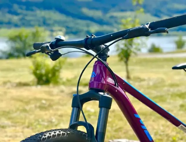 Utleie av HARDTAIL MOUNTAIN BIKE - 1